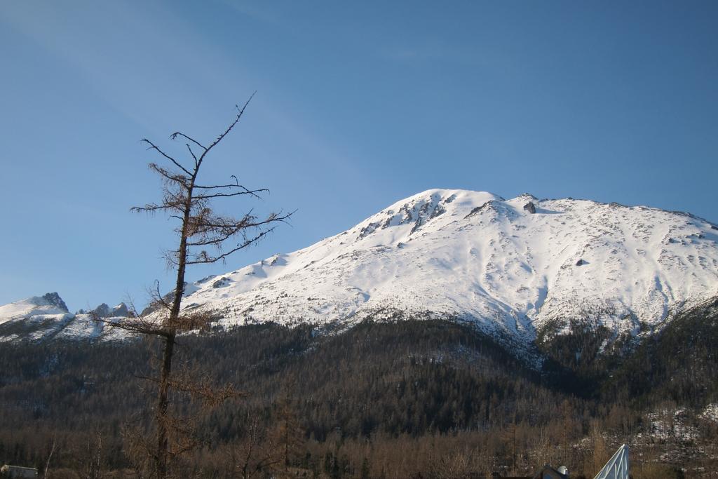 Apartman Novy Smokovec 75 Appartement Vysoké Tatry Kamer foto