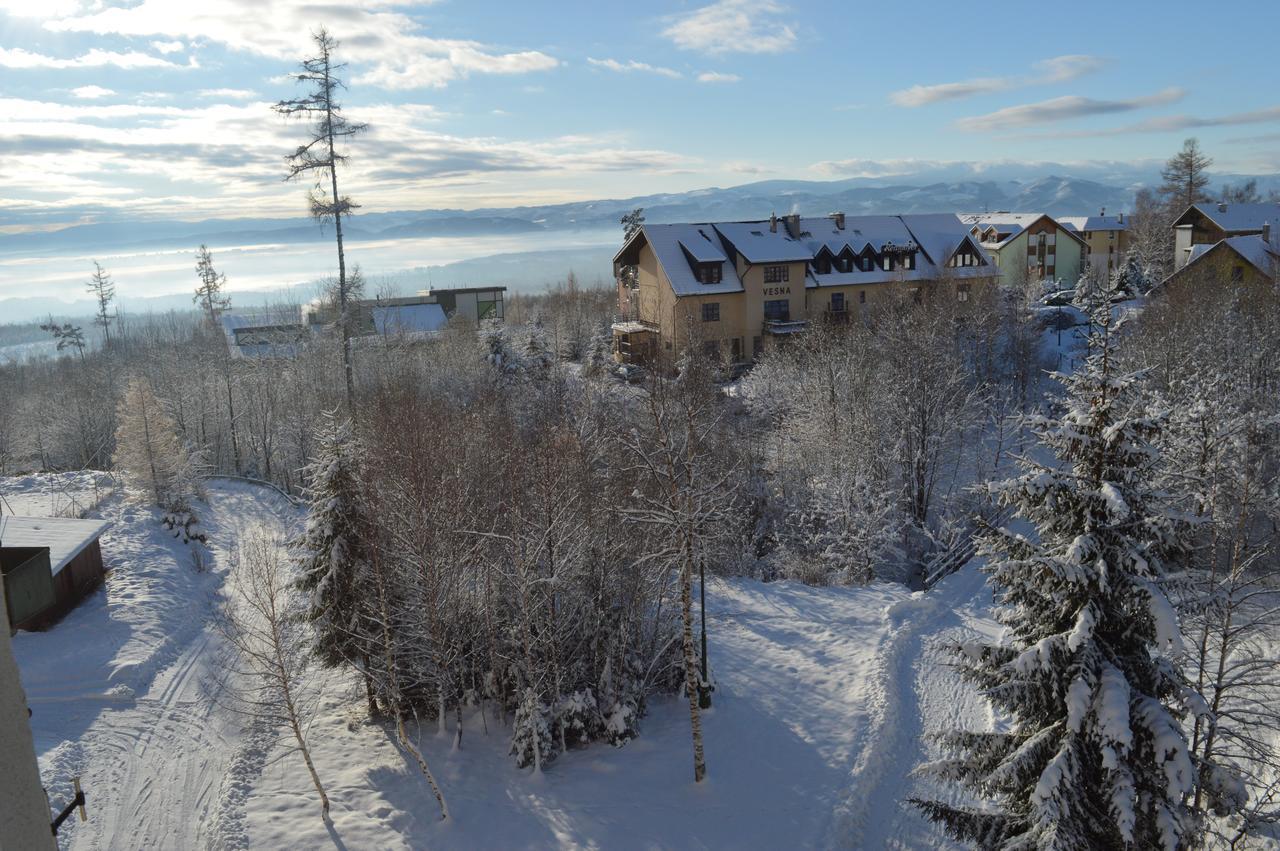 Apartman Novy Smokovec 75 Appartement Vysoké Tatry Buitenkant foto